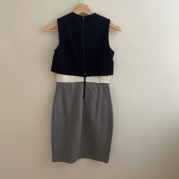 French connection sleeveless block color dress - Picture 4 of 4